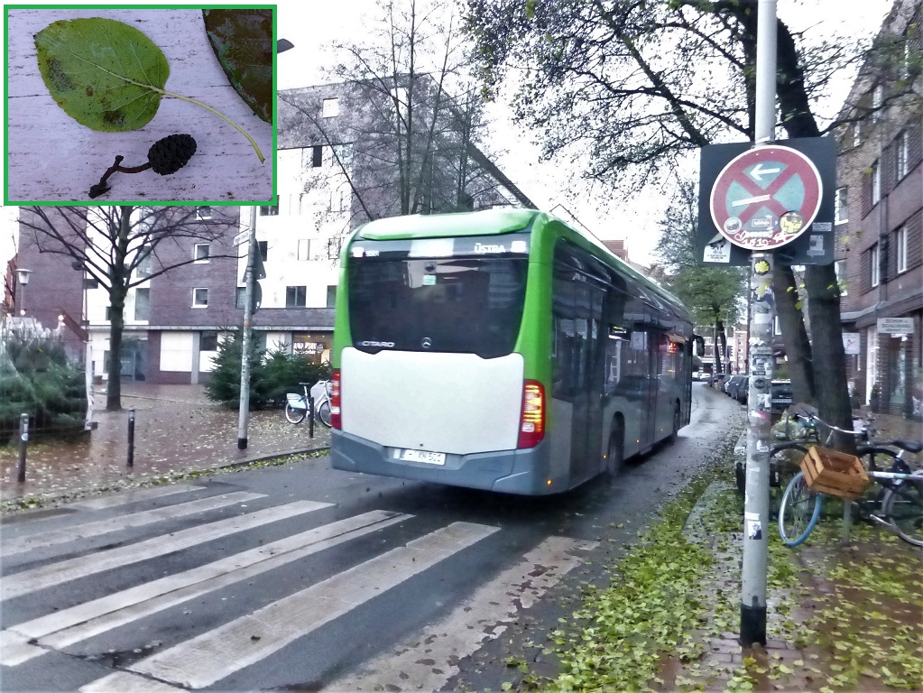 Mercedes E-Bus Stephanusstr mit Blttern mit Kasten.jpg