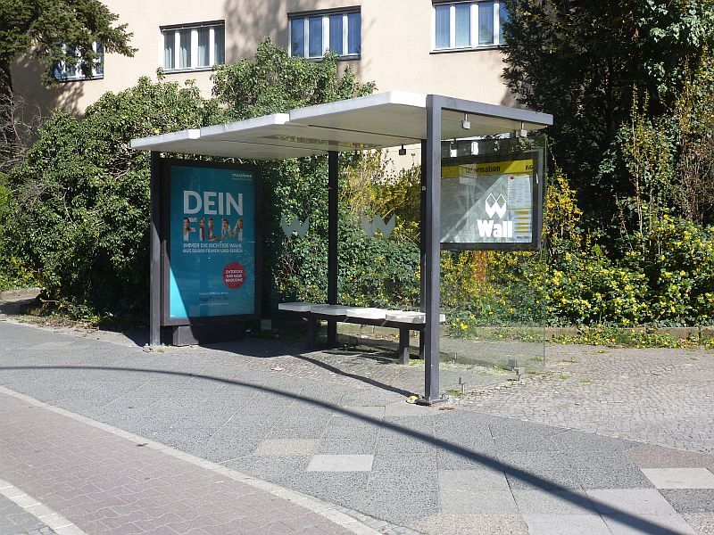 48533512bo.jpg