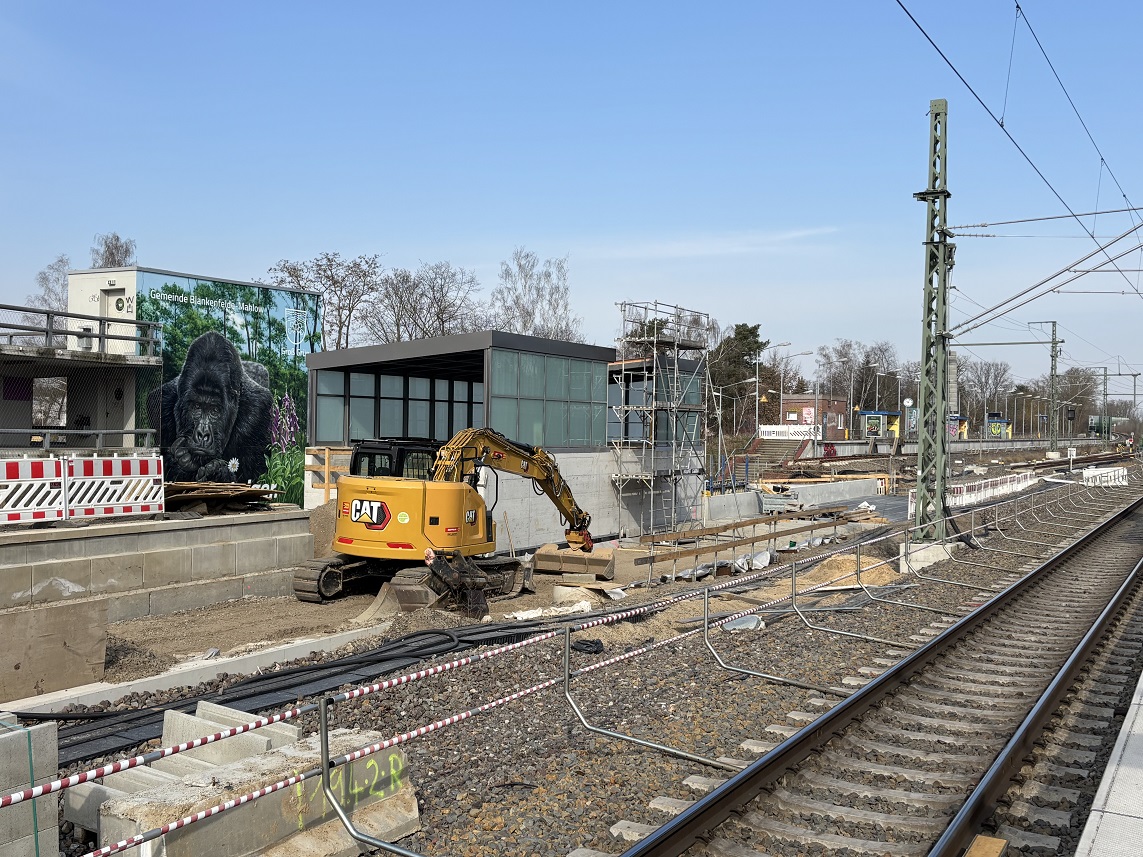 20250323-06.jpg