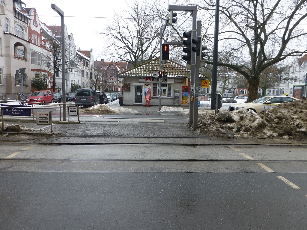 Wintereinbruch Frostschden H Kantplatz 1.jpg