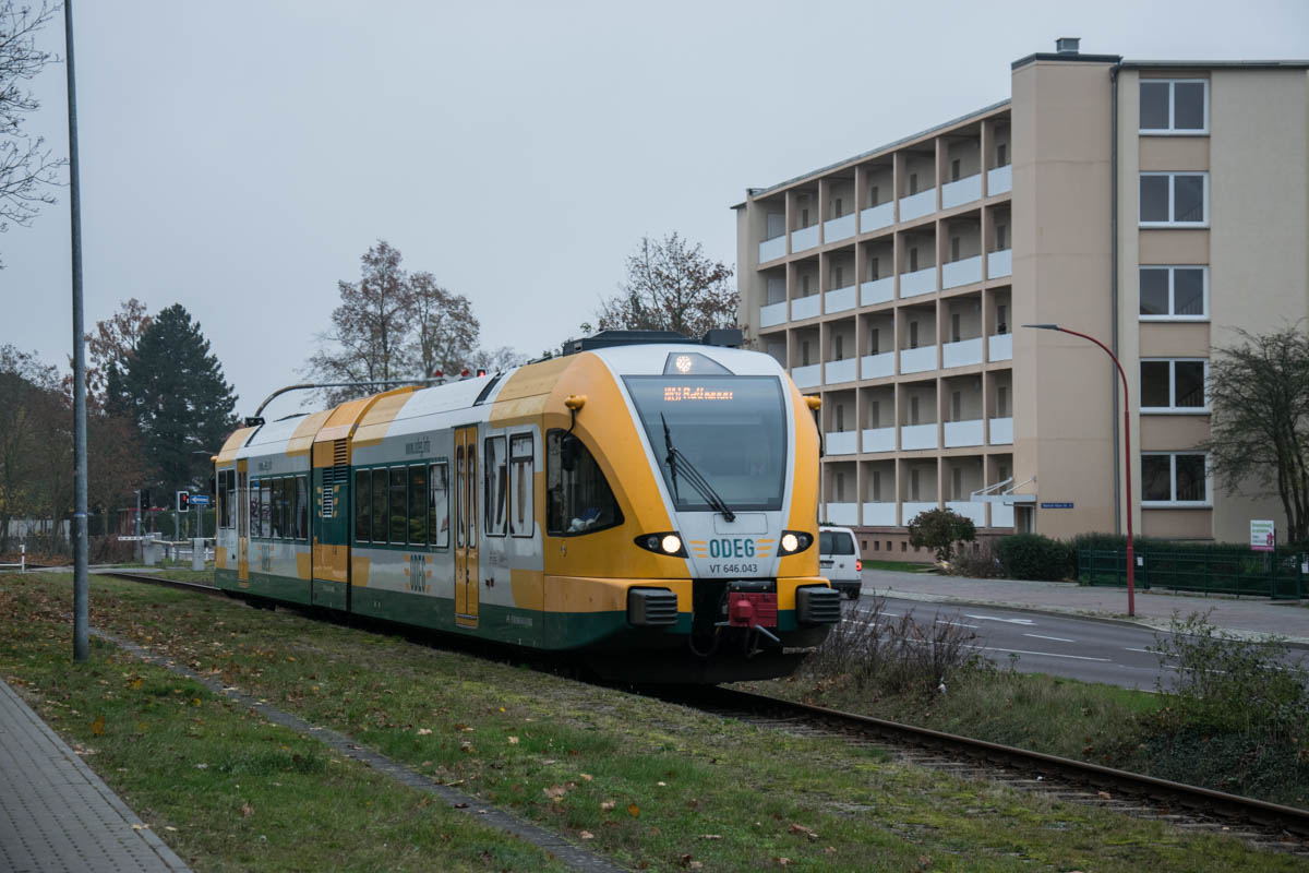 DSC_4462.jpg