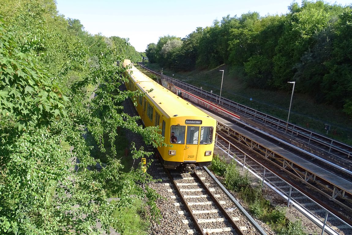 2537.jpg