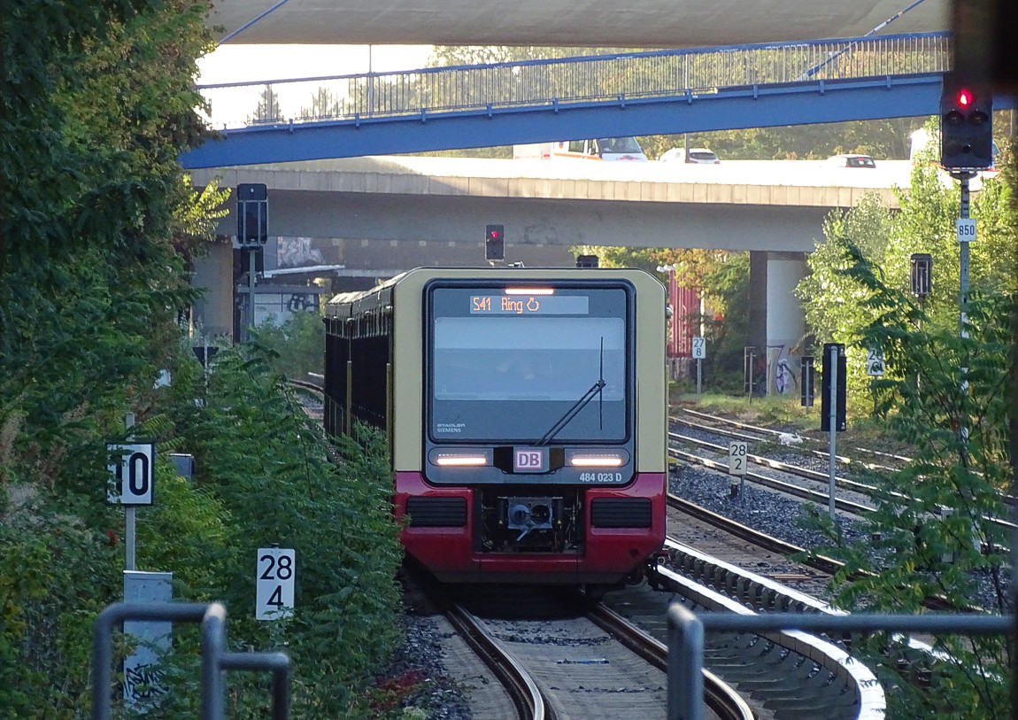 s41290924.jpg