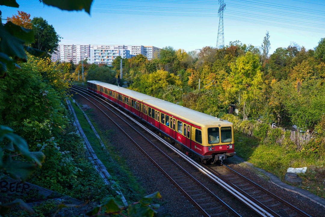 S-Bahn_485050_20221010_S8_4347.ig.png