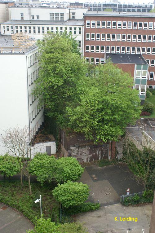 rampe2010.jpg