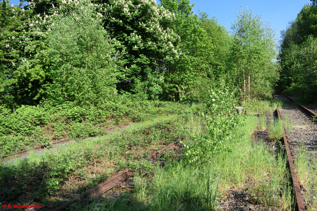 L13-Luetjenburg-2018-05-12-009.jpg