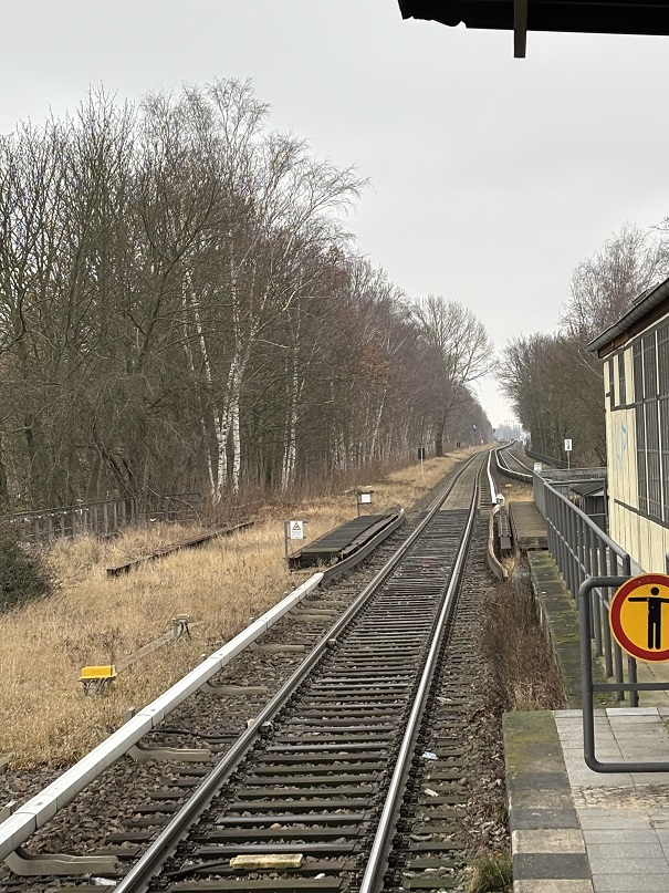 202503-3.jpg