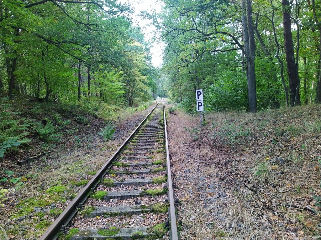 39657400eb.jpg