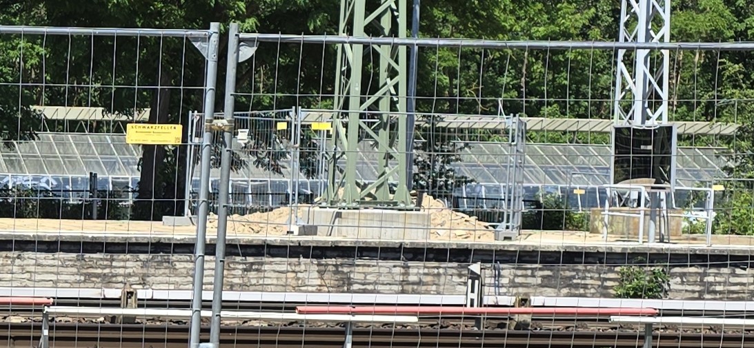 Hirschg4.jpg