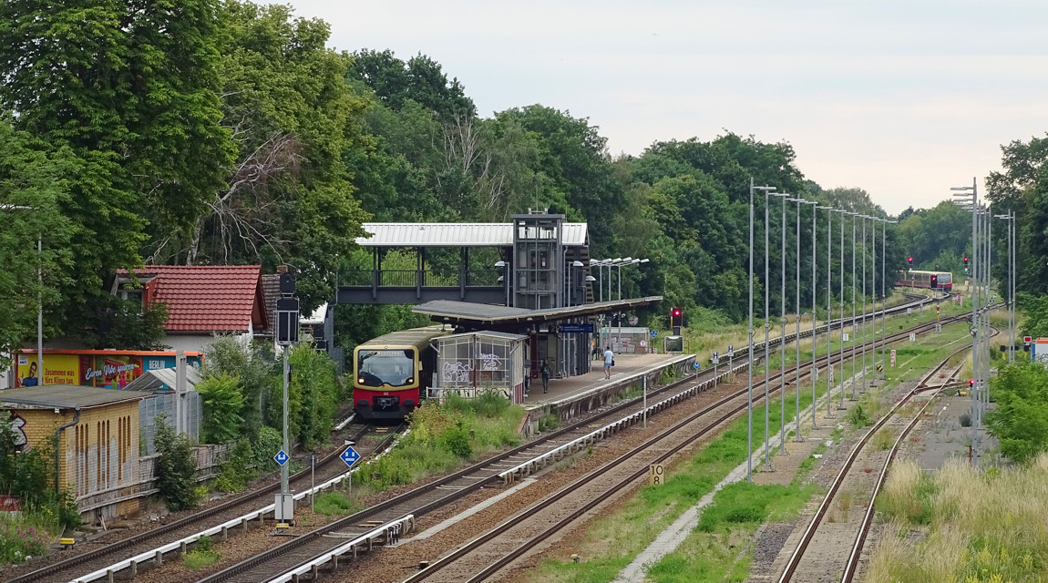 s5150624_2.jpg
